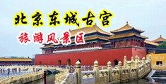 换妻深喉肛交中国北京-东城古宫旅游风景区